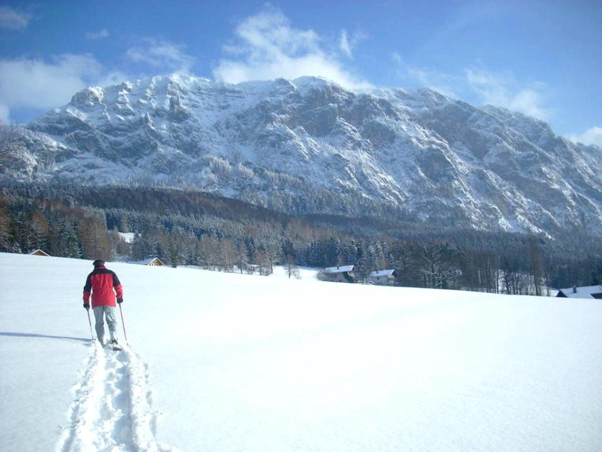 Fewo Atterseeperle - 80M2 Mit See- Und Gebirgsblick Steinbach am Attersee Exterior foto