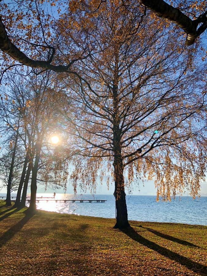 Fewo Atterseeperle - 80M2 Mit See- Und Gebirgsblick Steinbach am Attersee Exterior foto