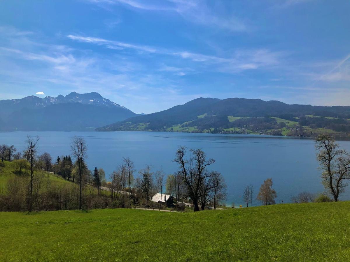 Fewo Atterseeperle - 80M2 Mit See- Und Gebirgsblick Steinbach am Attersee Exterior foto