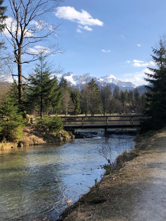 Fewo Atterseeperle - 80M2 Mit See- Und Gebirgsblick Steinbach am Attersee Exterior foto