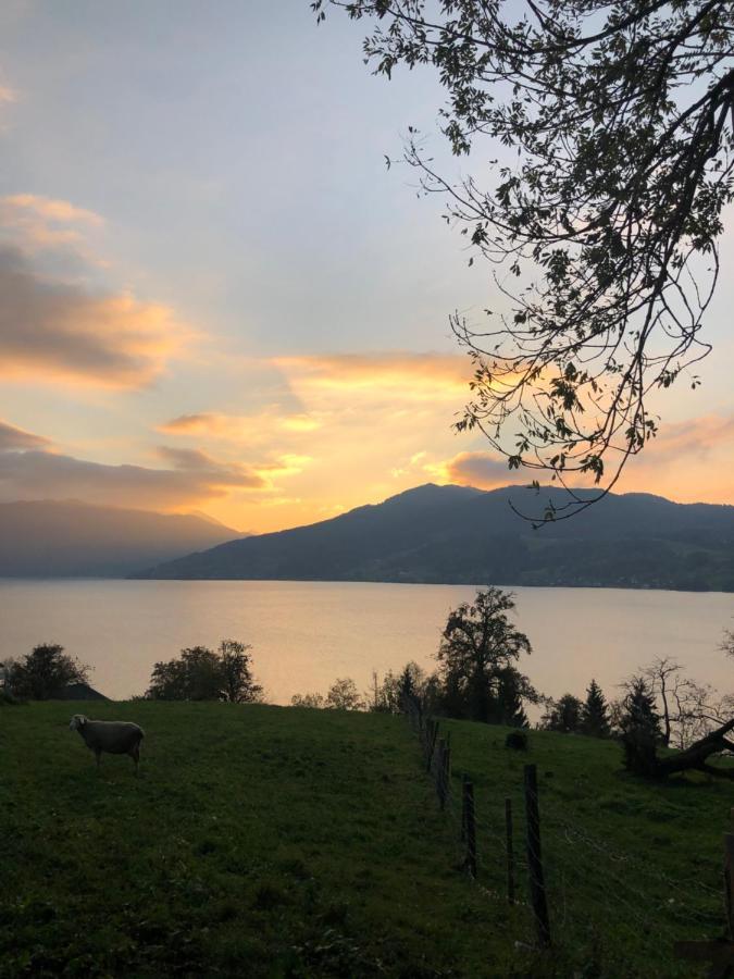 Fewo Atterseeperle - 80M2 Mit See- Und Gebirgsblick Steinbach am Attersee Exterior foto